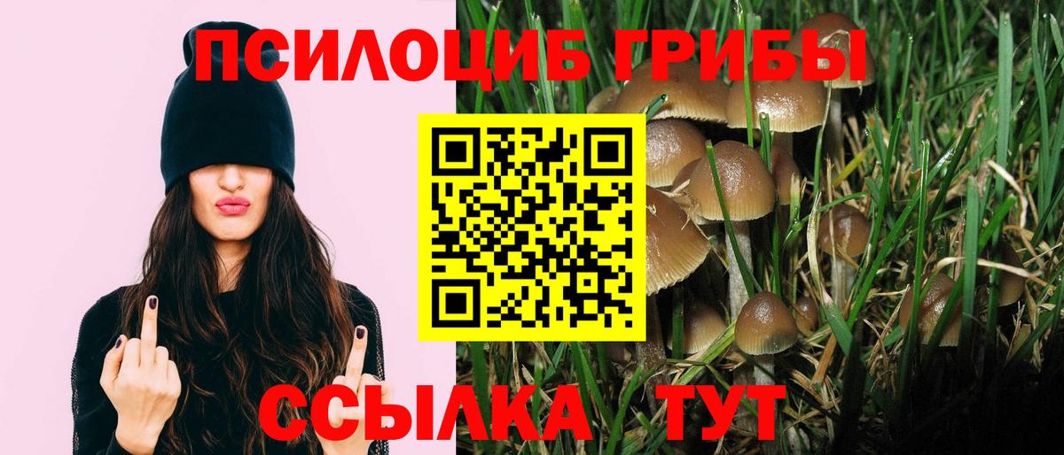 Кудымкар  Псилоцибиновые грибы GOLDEN TEACHER  Вход с VPN 
