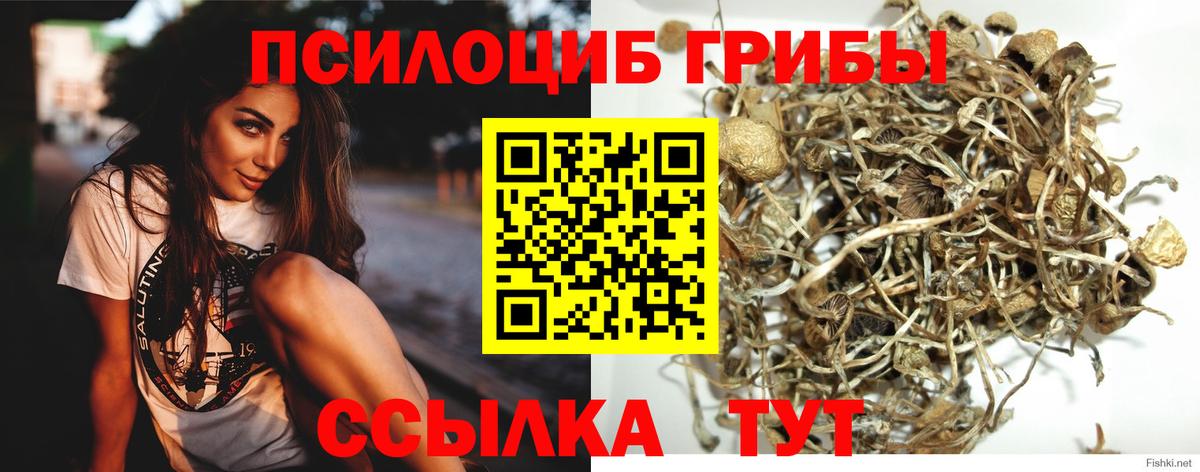 Галлюциногенные грибы ЛСД Кудымкар